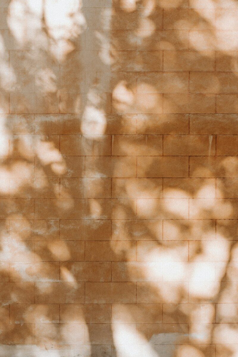Photo by Pawel Czerwinski Soft dappled light and shadows of leaves on a brown brick wall
